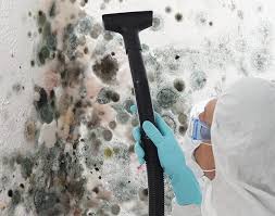  , USA Mold Removal & Remediation Pros